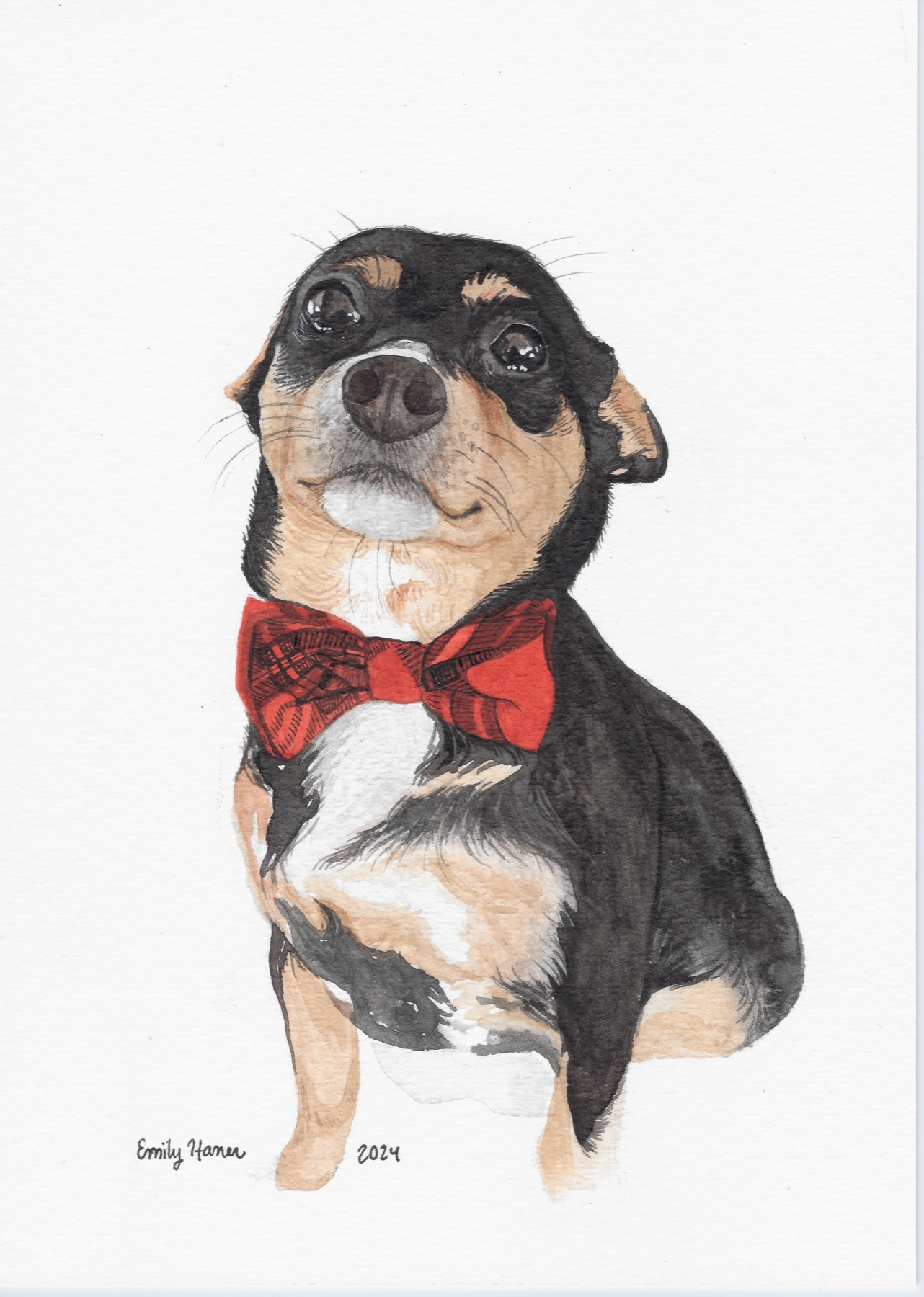 Watercolor pet portrait of Beatrix Bivens wearing a red bow tie
