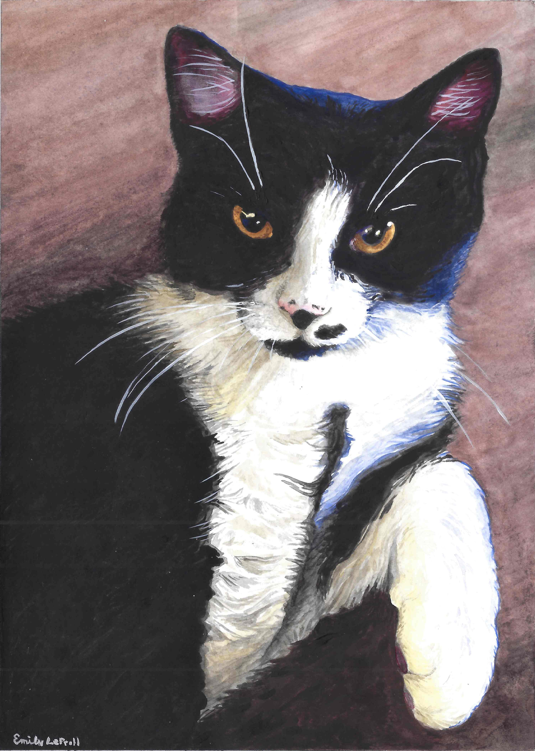 Watercolor portrait of a beloved black-and-white tuxedo cat