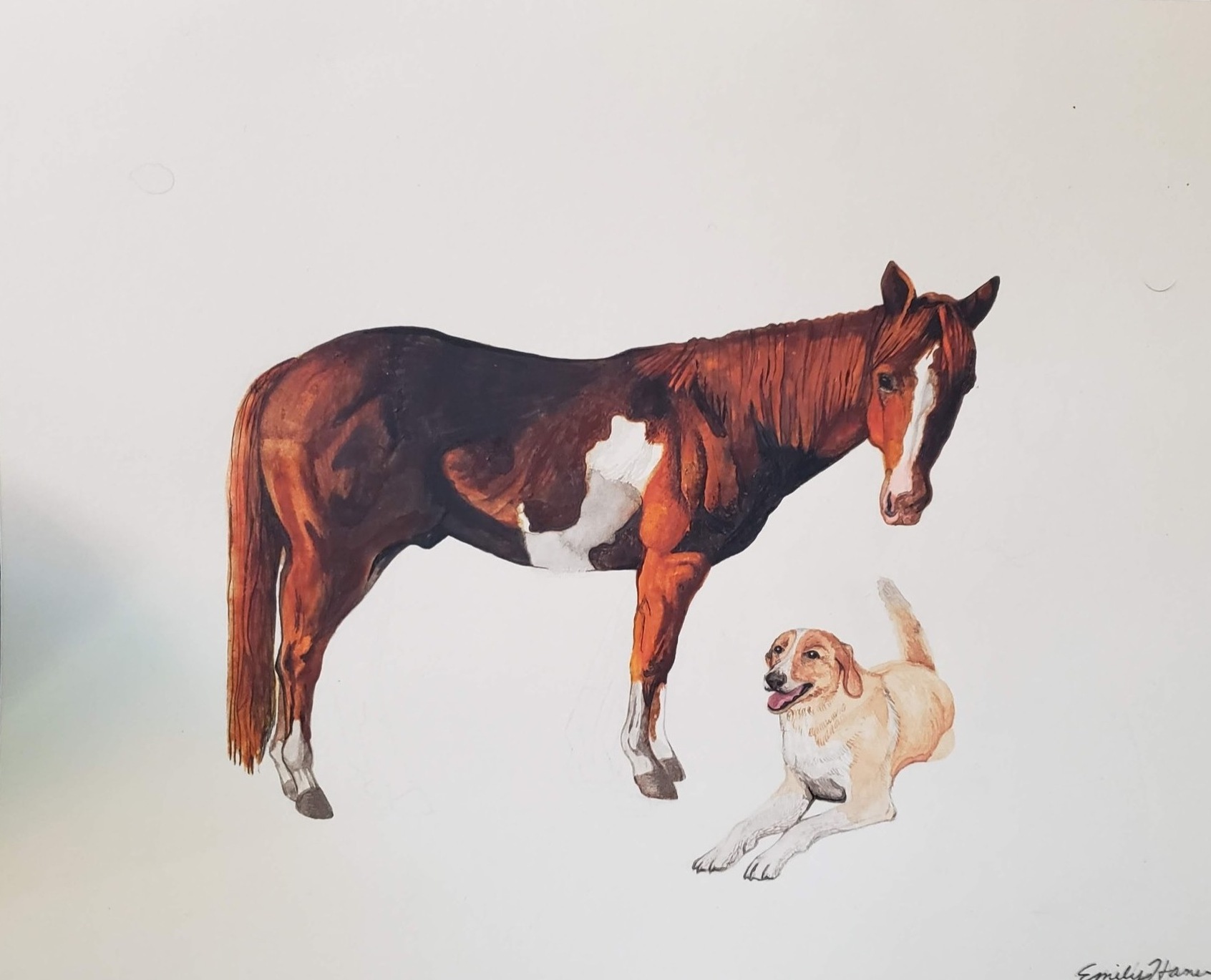 Watercolor portrait of a horse and dog