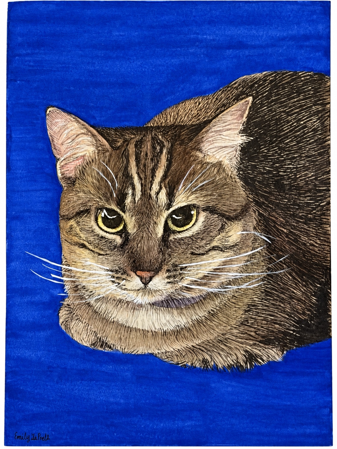 Watercolor and pen-and-ink portrait of Jeannie, a tabby cat against a vivid blue background