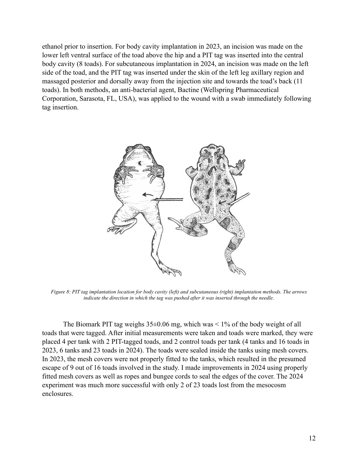 Original thesis page 12 showing the implantation illustration alongside its figure caption and methods text